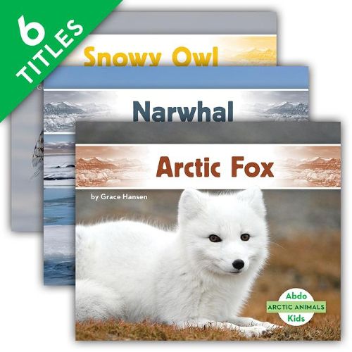 Cover image for Arctic Animals Set