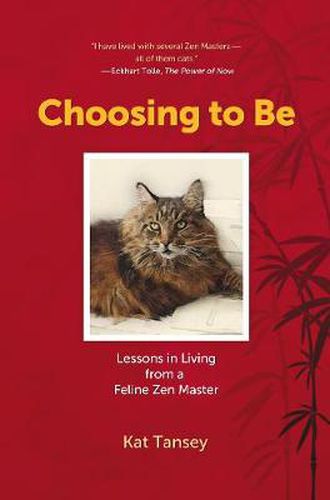 Cover image for Choosing to Be: Lessons in Living from a Feline Zen Master