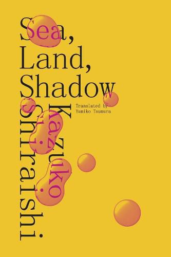 Cover image for Sea, Land, Shadow