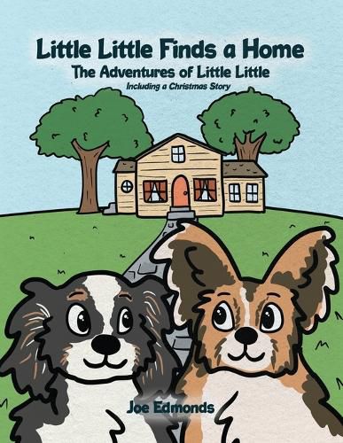 Cover image for Little Little Finds a Home