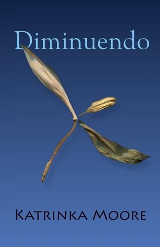 Cover image for Diminuendo