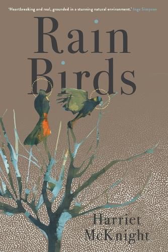 Cover image for Rain Birds