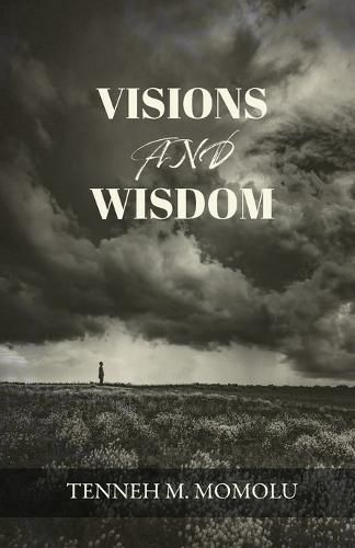 Cover image for Visions and Wisdom