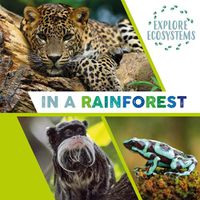Cover image for Explore Ecosystems: In a Rainforest