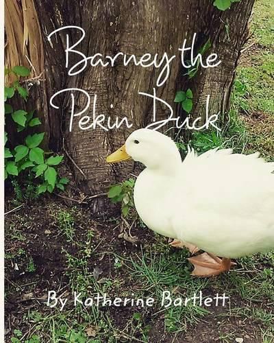 Cover image for Barney the Pekin Duck