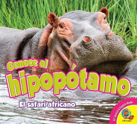 Conoce Al Hipopotamo