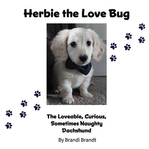 Cover image for Herbie the Love Bug