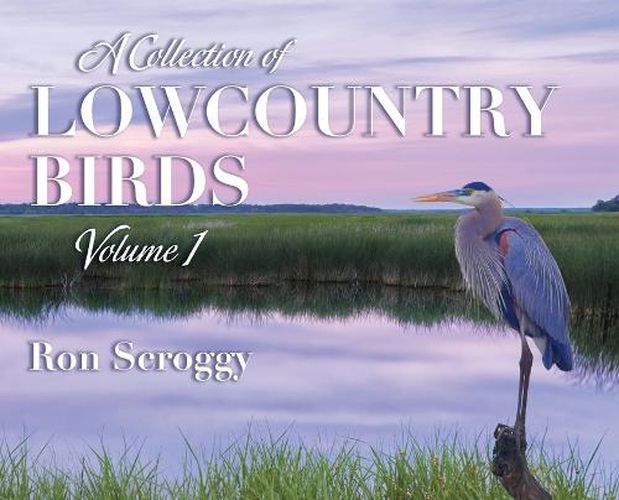 Cover image for A Collection of Lowcountry Birds