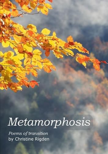 Cover image for Metamorphosis