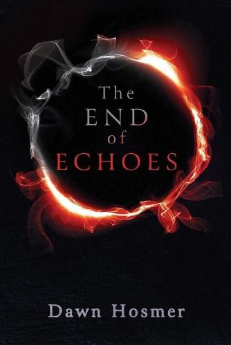 Cover image for The End of Echoes