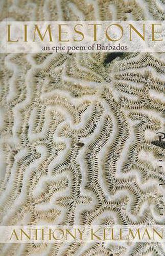 Cover image for Limestone