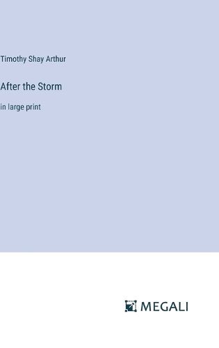 Cover image for After the Storm