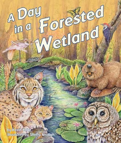 Cover image for A Day in a Forested Wetland