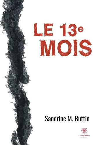 Cover image for Le 13e mois