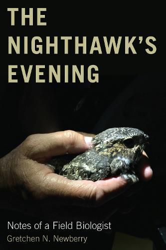 Cover image for The Nighthawk's Evening: Notes of a Field Biologist