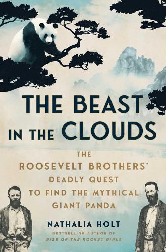 Cover image for The Beast in the Clouds