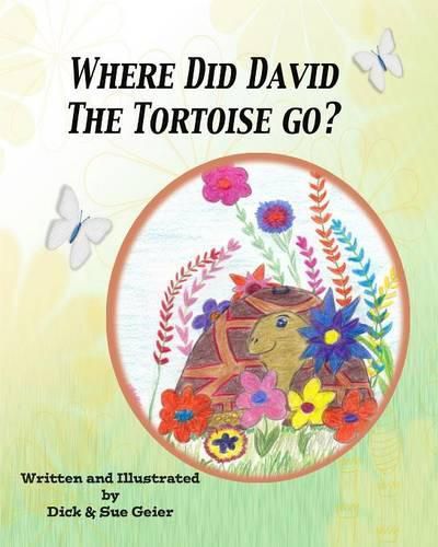 Where Did David The Tortoise Go?