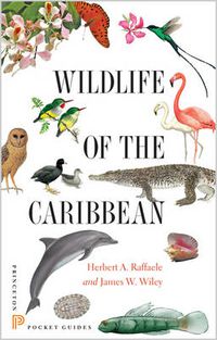 Cover image for Wildlife of the Caribbean