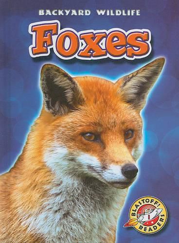 Cover image for Foxes