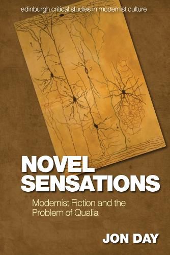 Cover image for Novel Sensations: Modernist Fiction and the Problem of Qualia