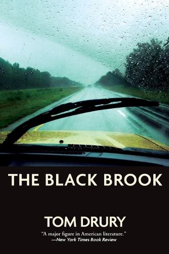 Cover image for The Black Brook