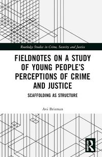 Cover image for Fieldnotes on a Study of Young People's Perceptions of Crime and Justice: Scaffolding as Structure