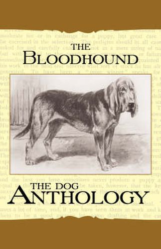 The Bloodhound - A Dog Anthology (A Vintage Dog Books Breed Classic)