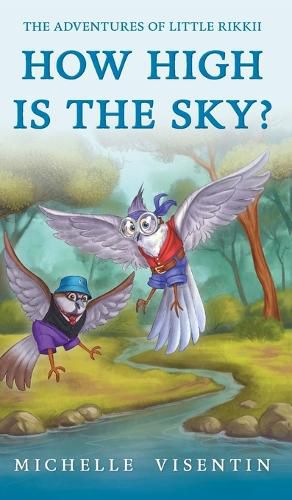 Cover image for How High is the Sky?