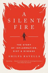 Cover image for A Silent Fire