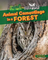 Cover image for Animal Camouflage in a Forest