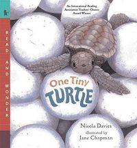 Cover image for One Tiny Turtle