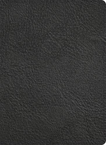 Cover image for KJV Study Bible, Full-Color, Holman Handcrafted Collection,