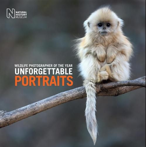 Cover image for Wildlife Photographer of the Year: Unforgettable Portraits