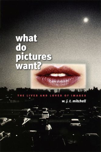 Cover image for What Do Pictures Want?: The Lives and Loves of Images