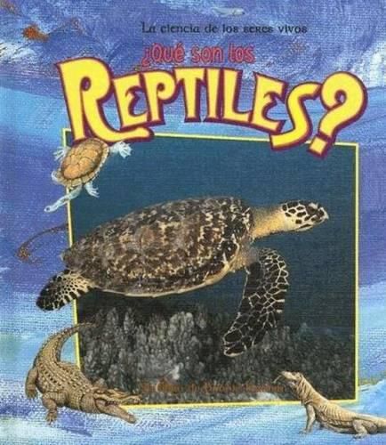 Cover image for Que son los Reptiles?