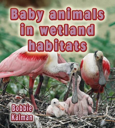 Cover image for Baby Animals in Wetland Habitats