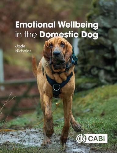 Cover image for Emotional Wellbeing in the Domestic Dog