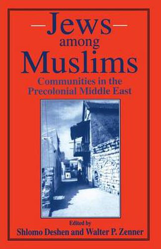 Cover image for Jews among Muslims: Communities in the Precolonial Middle East