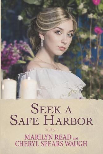 Cover image for Seek a Safe Harbor