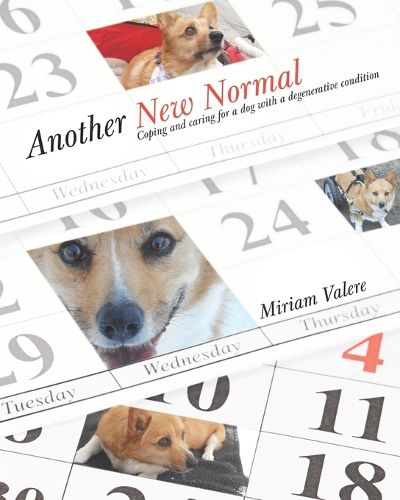 Cover image for Another New Normal