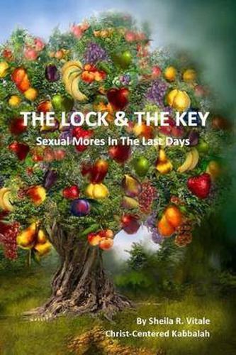 Cover image for The Lock & The Key: Sexual Mores In The Last Days