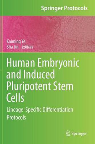 Cover image for Human Embryonic and Induced Pluripotent Stem Cells: Lineage-Specific Differentiation Protocols