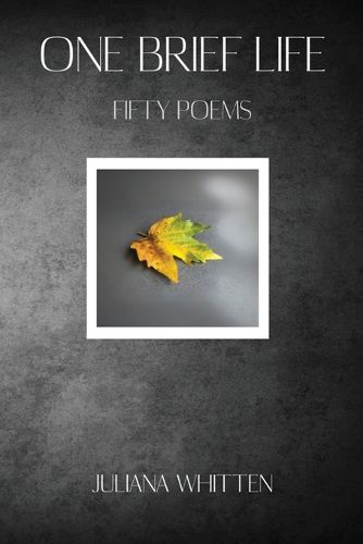 Cover image for One Brief Life