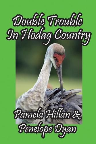 Cover image for Double Trouble In Hodag Country