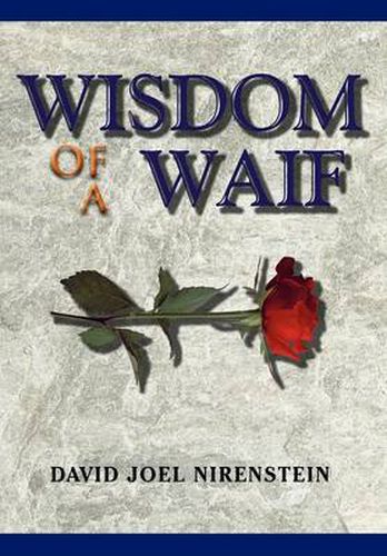 Cover image for Wisdom of a Waif