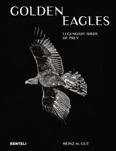 Cover image for Golden Eagles: Legendary Birds of Prey