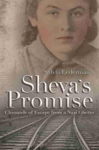 Cover image for Sheva's Promise: Chronicle of Escape from a Nazi Ghetto