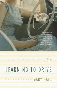 Cover image for Learning to Drive