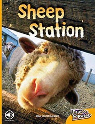 Sheep Station