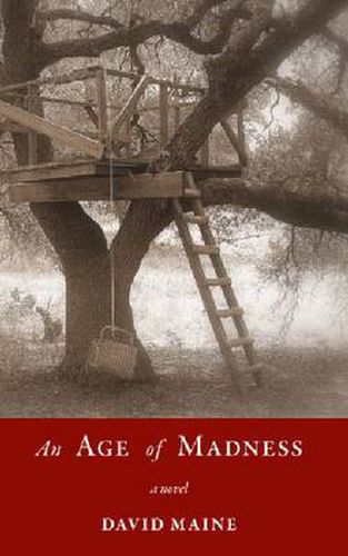 Cover image for An Age of Madness